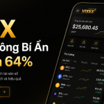 VIXEX Là Gì? Sàn Crypto VIX và Cổ Đông Bí Ẩn Nắm 64%